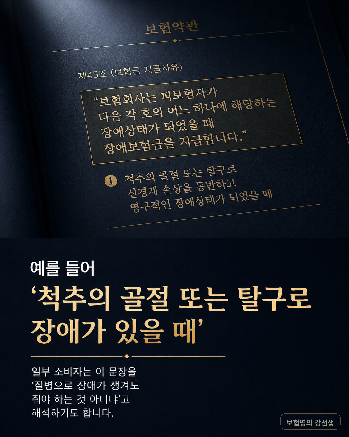 척추 관련 예시를 든 약관 해석 카드